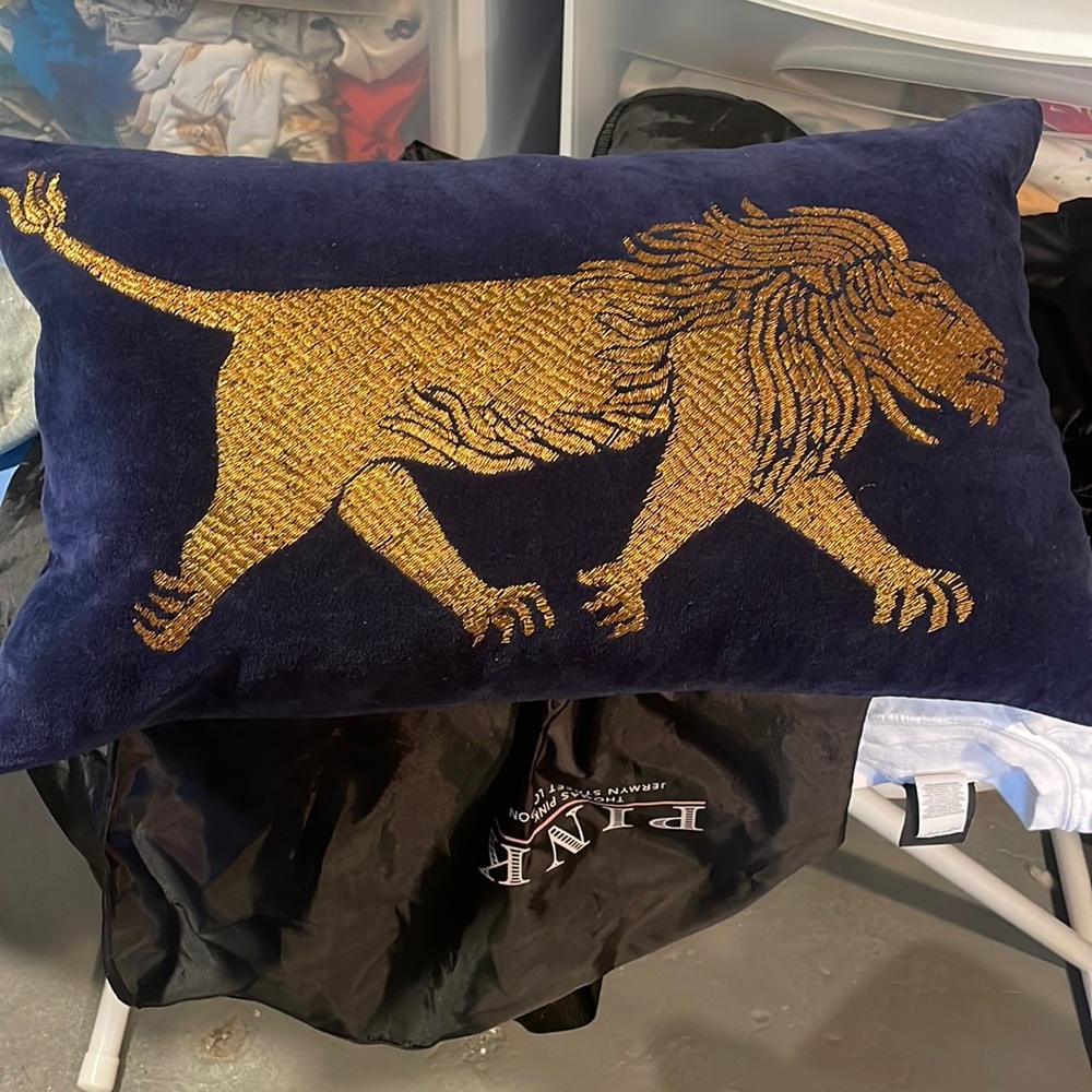 William Sonoma decor pillows like new used one season only